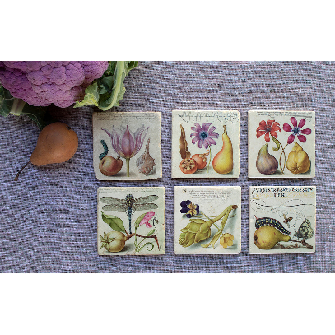 Joris Hoefnagel Coasters