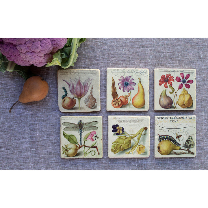 Joris Hoefnagel Coasters