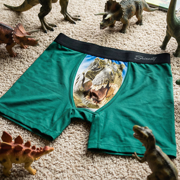 The Mad Lizard | Dinosaur Boy's Boxer Briefs