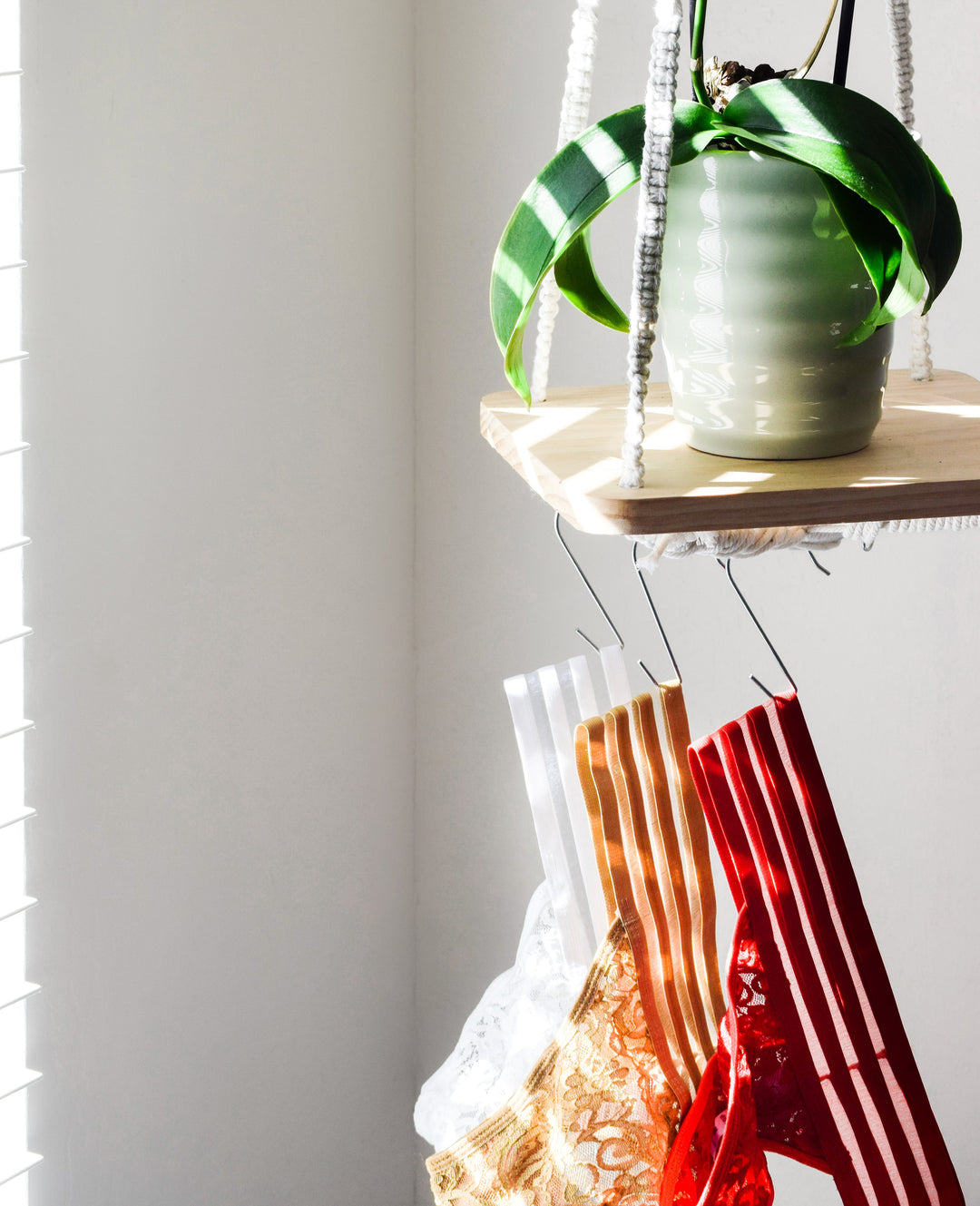 Kix'ies Signature Thong Lace Panty $6