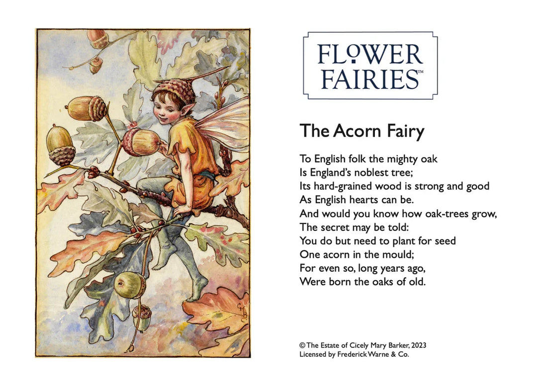 Felting Kit -  Acorn Fairy Needle Felting Kit