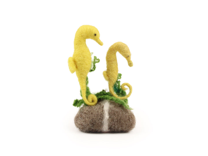 Felting Kit -  Seahorse Needle Felting Kit