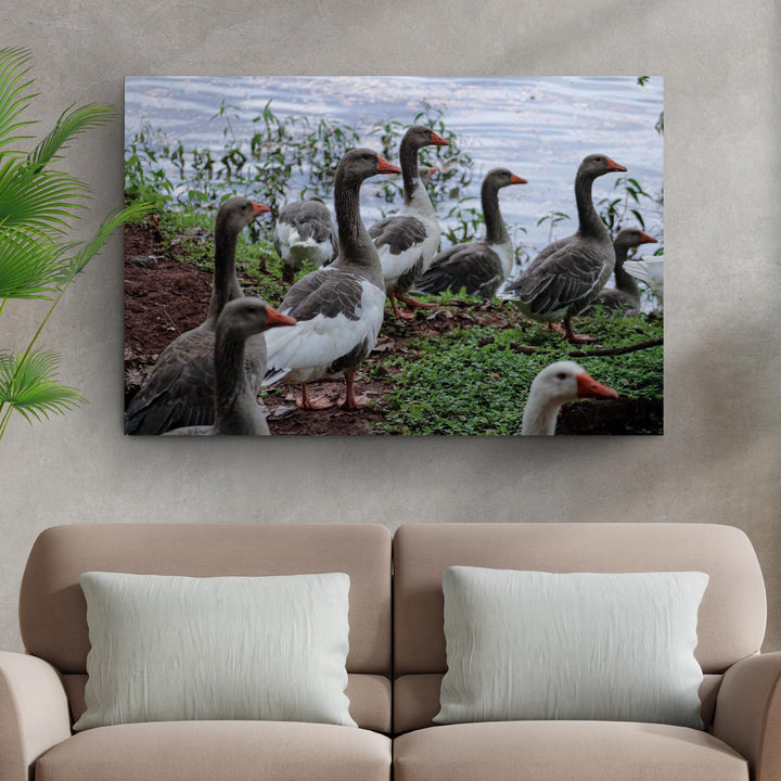 Flock Of Domestic Geese Canvas Wall Art