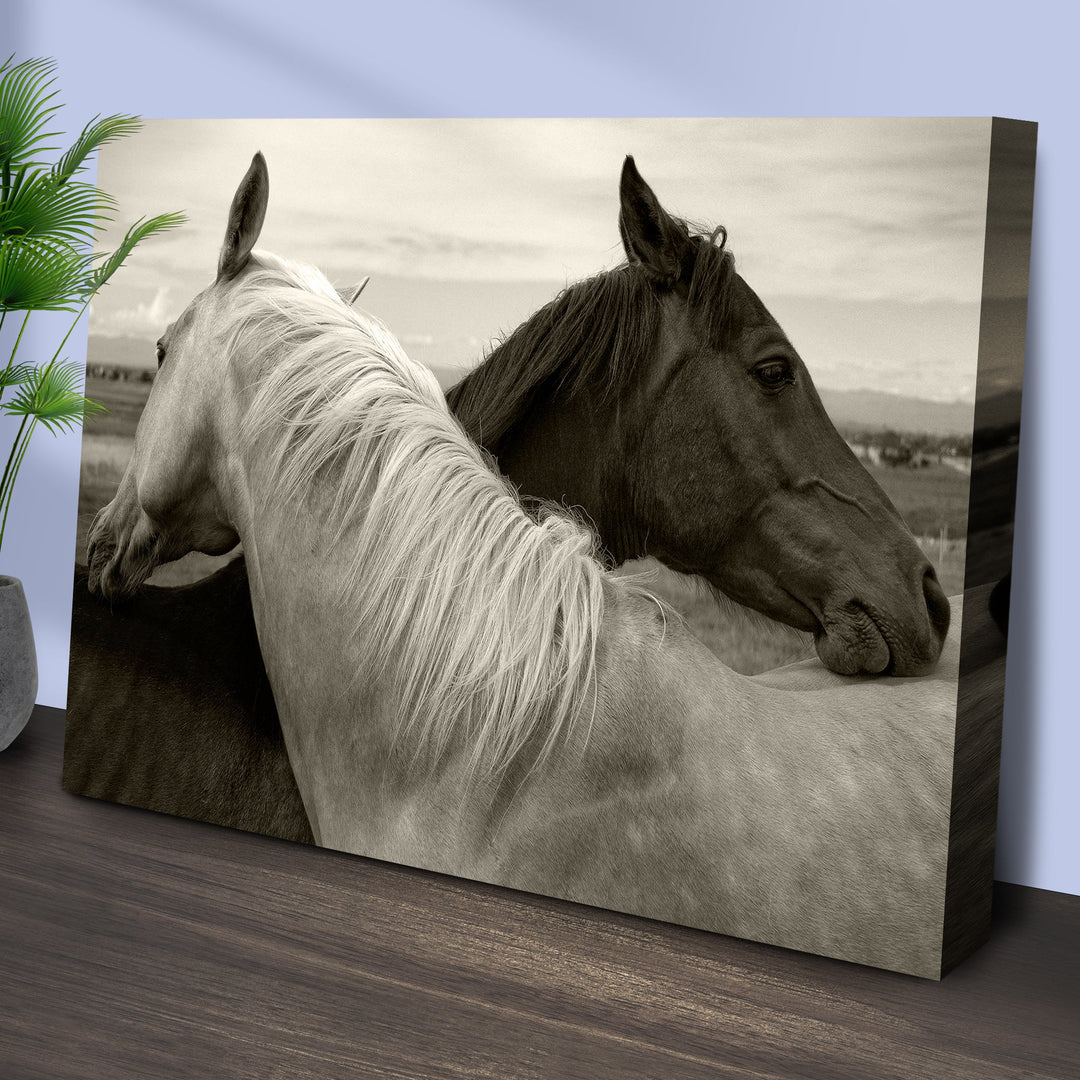 Monochrome Couple Horse Canvas Wall Art