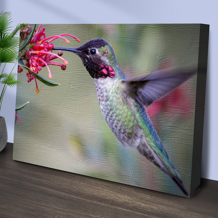 Hummingbird Spring Canvas Wall Art