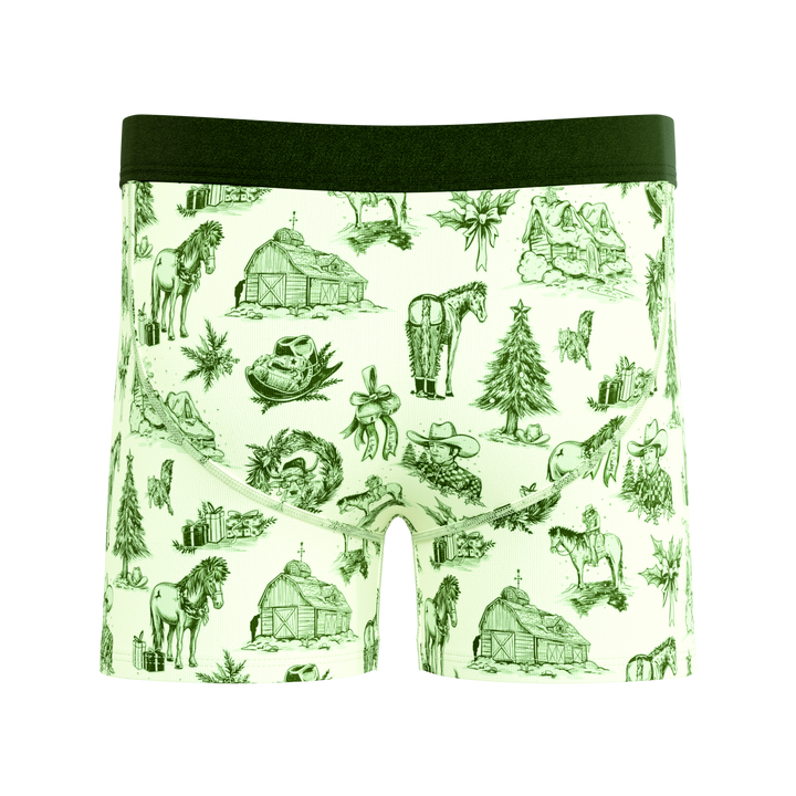 The Western Wonderland | Western Toile Boy's Boxer Briefs