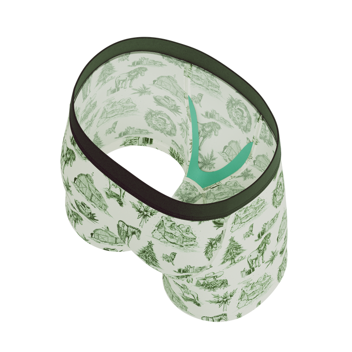 The Western Wonderland | Western Toile Boy's Boxer Briefs