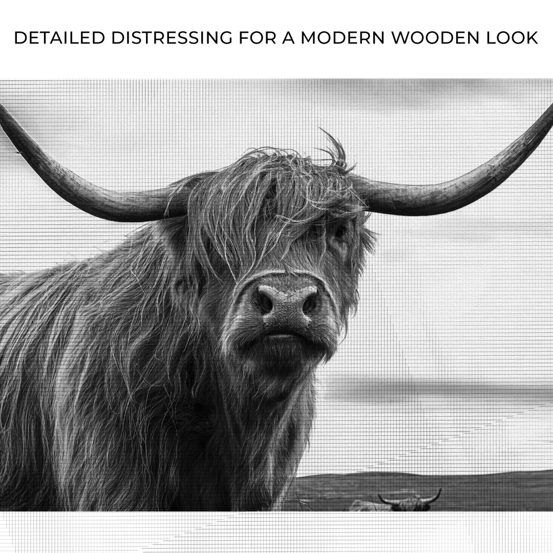 Highland Cow Black And White Portrait Canvas Wall Art