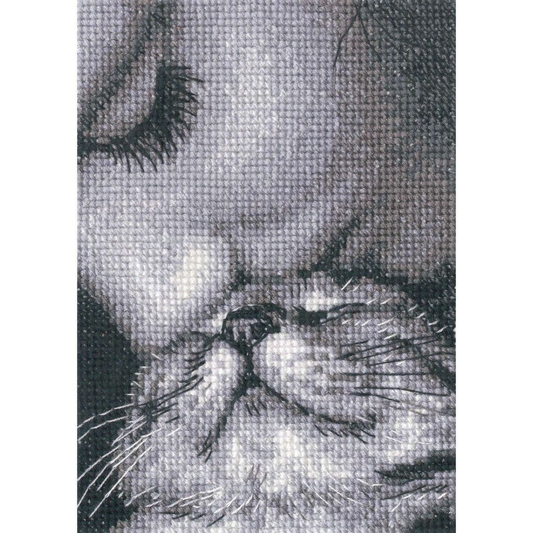 Admirers C425 Counted Cross Stitch Kit