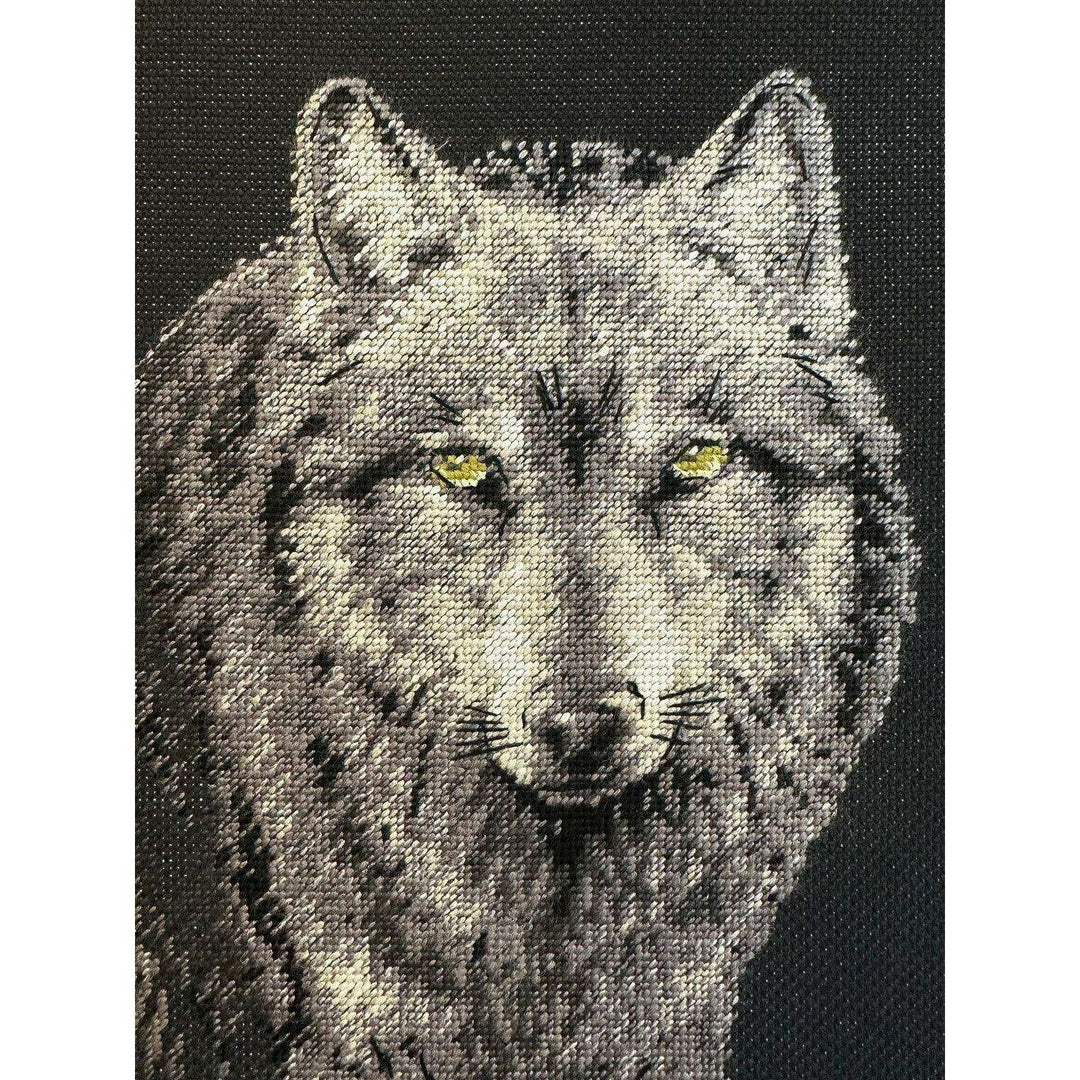 Alpha R2187 Counted Cross Stitch Kit