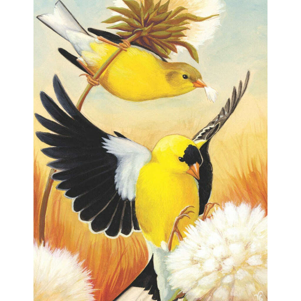American Goldfinch Mini