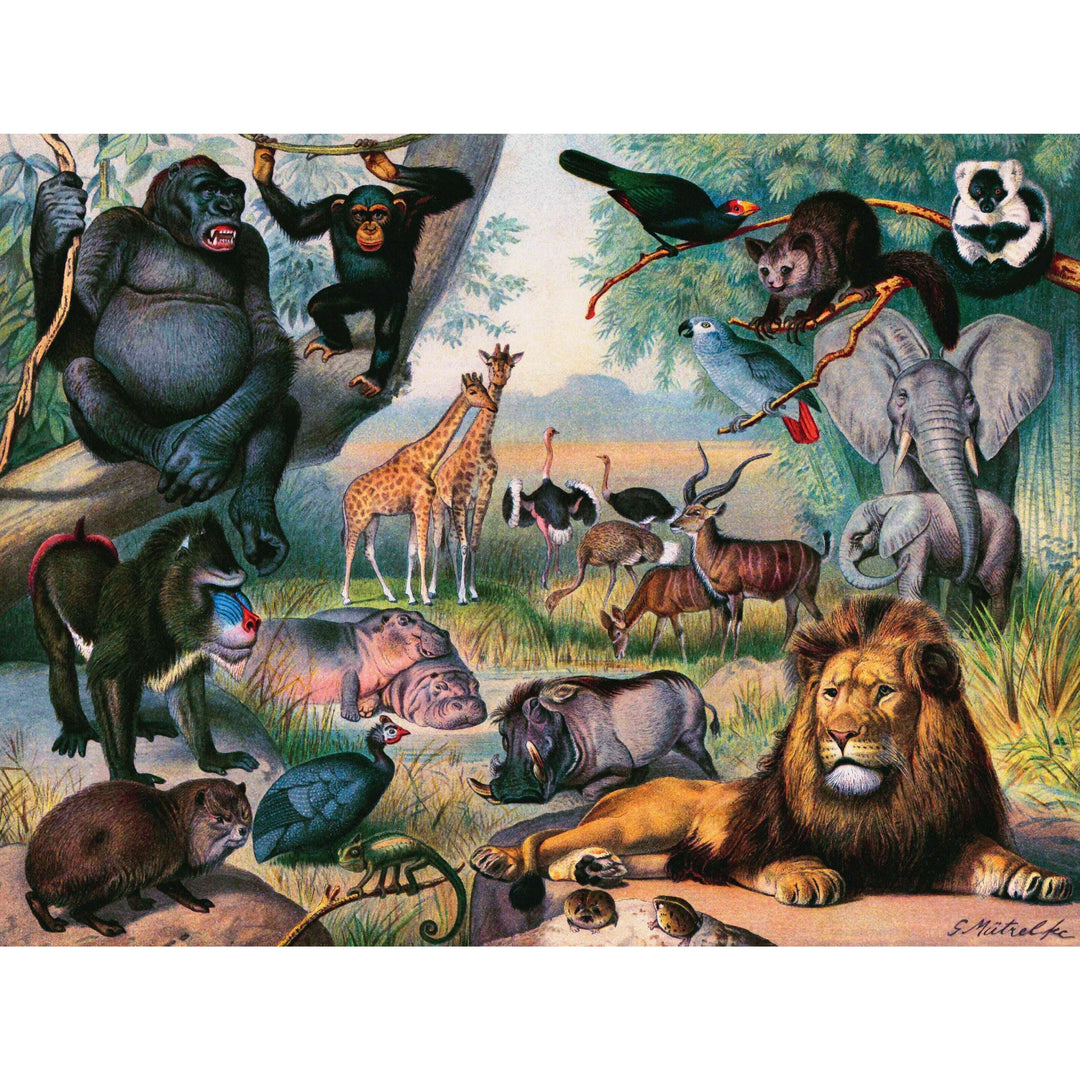 Animals of Africa Jigsaw Puzzle