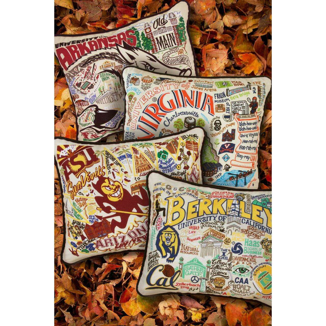 Arkansas, University of Collegiate Hand-Embroidered Pillow - Quirks!