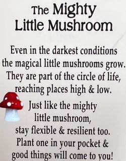 Art-o-mat - Magic Mushroom - Quirks!