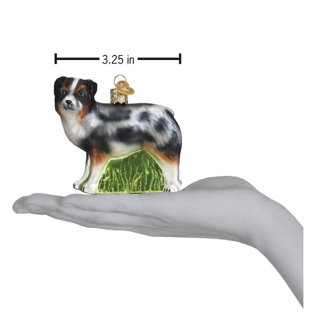 Australian Shepherd