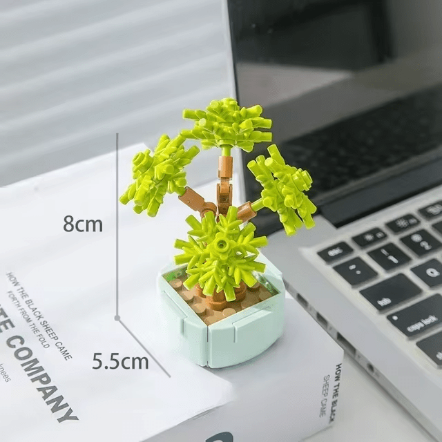 Ball Pine Building Brick Mini Potted Plant F07M9-12(104)-C1