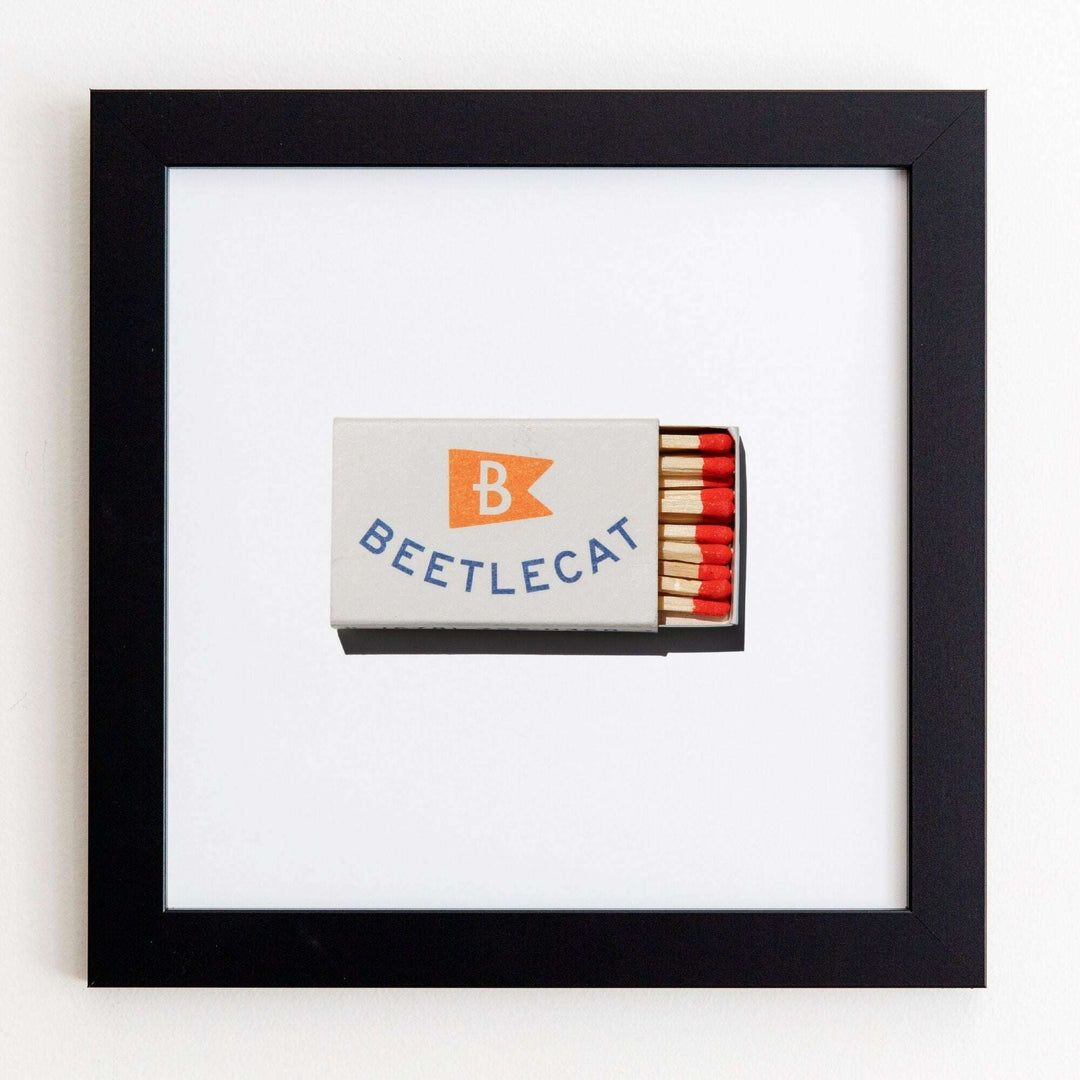 Beetlecat