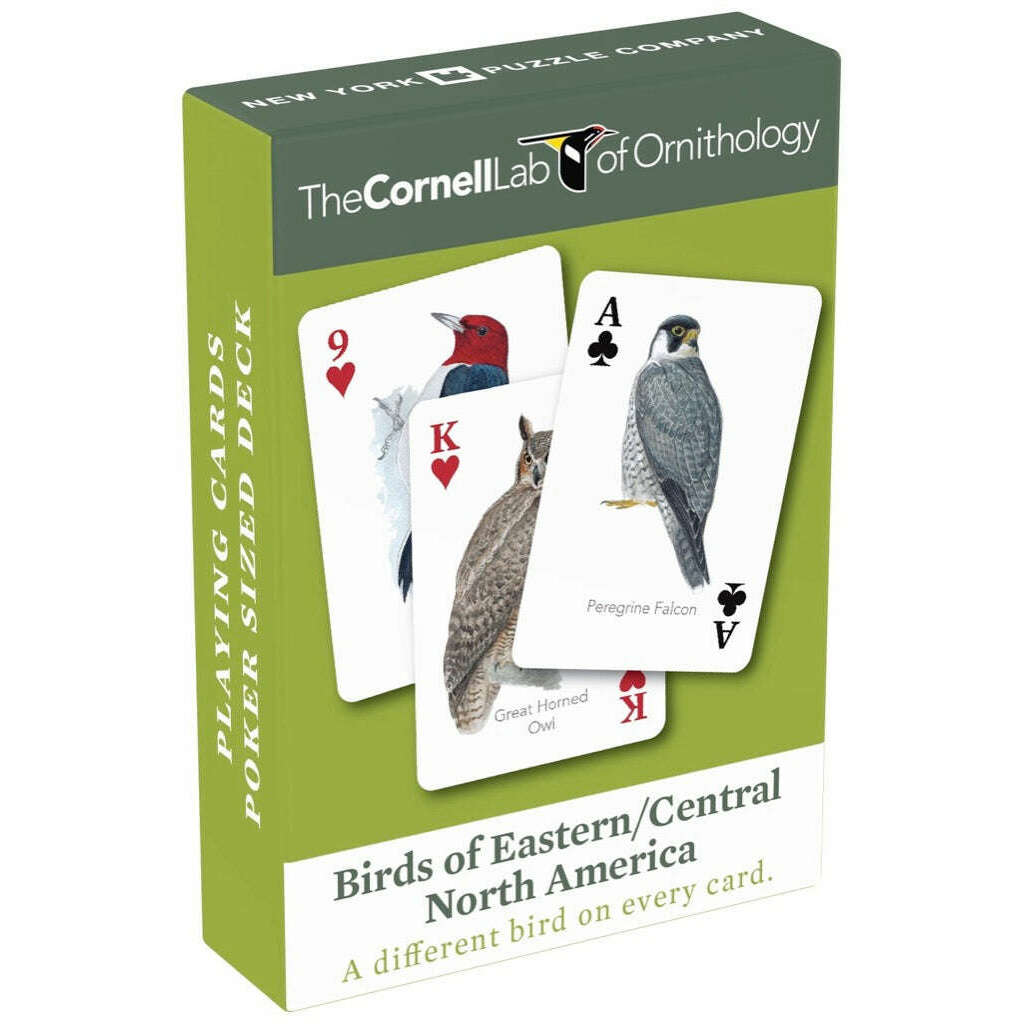 Birds of Eastern/Central North America Playing Cards