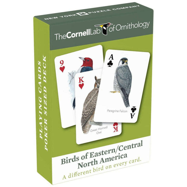 Birds of Eastern/Central North America Playing Cards