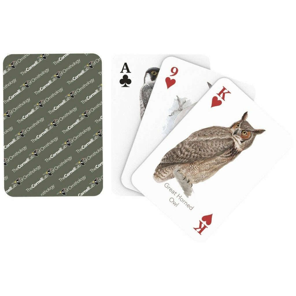 Birds of Eastern/Central North America Playing Cards