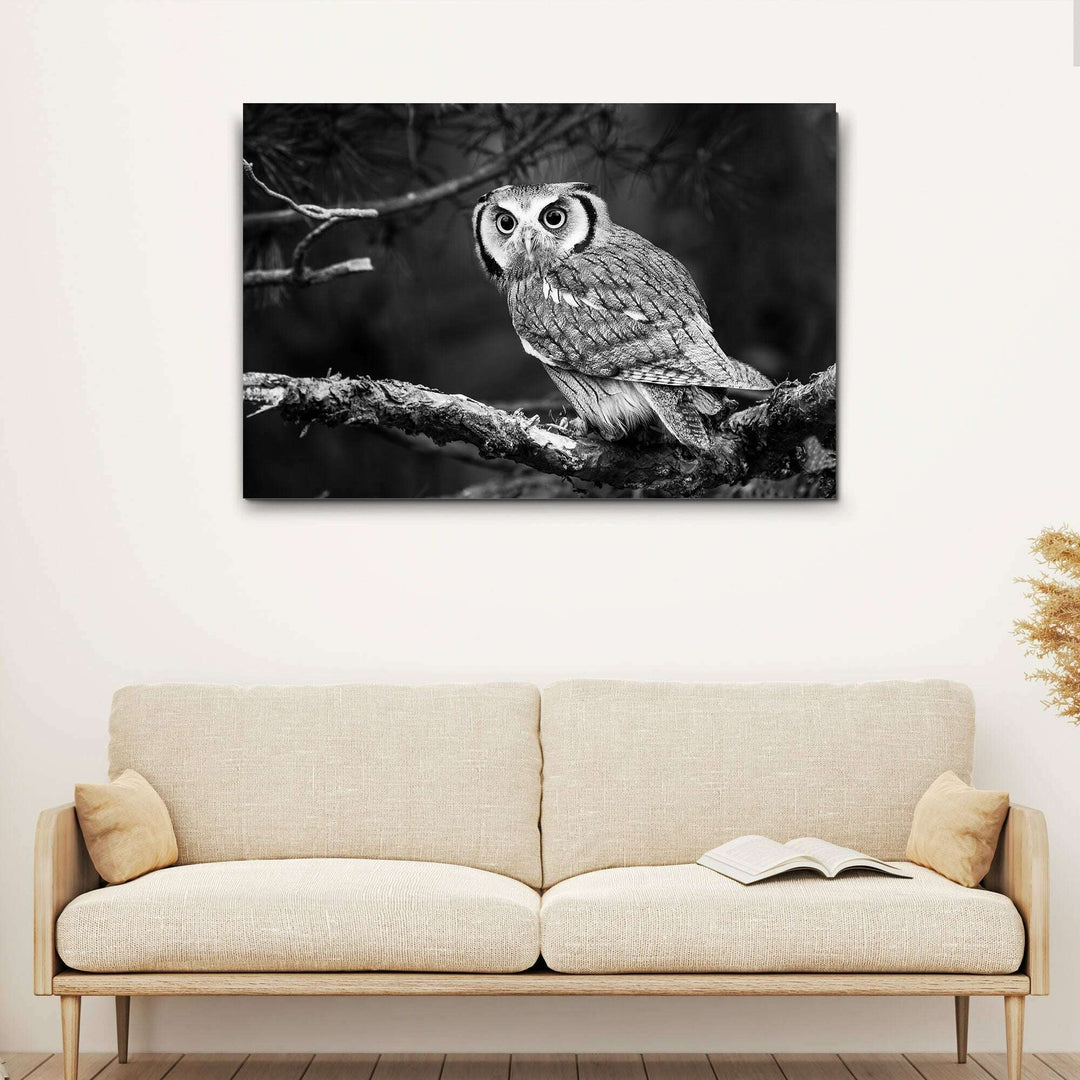 Black And White Owl Canvas Wall Art