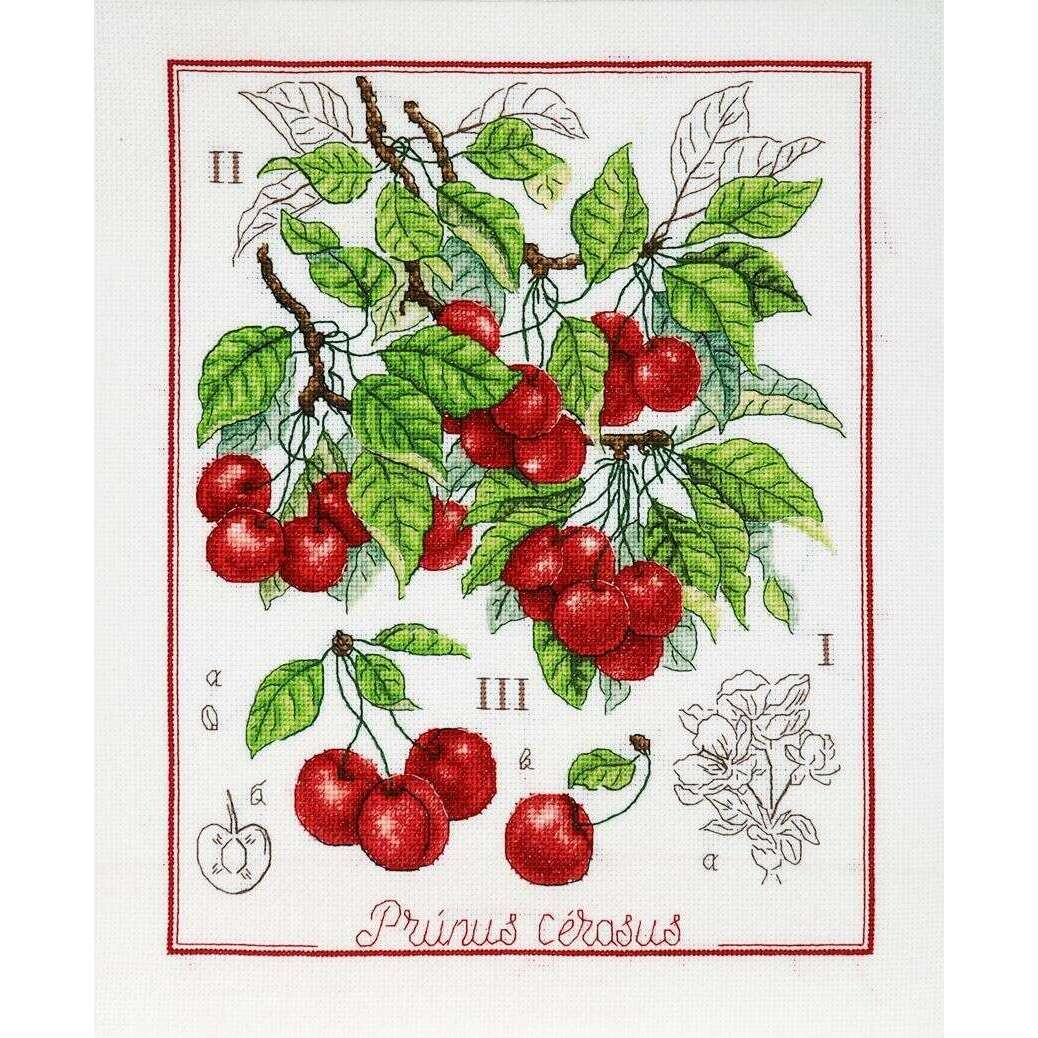 Botanical Battle - Cherry  Counted cross stitch kit 1274A