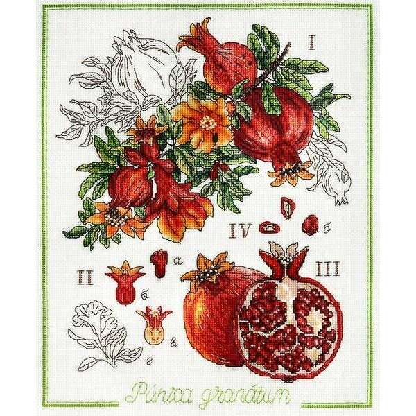 Botanical Battle - Pomegranate Counted cross stitch kit 1254A