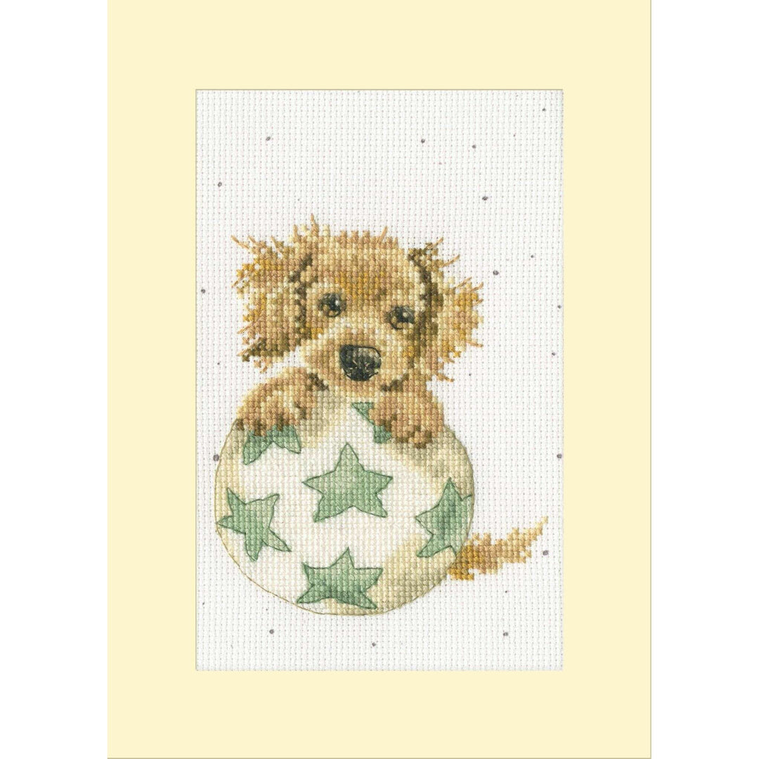 Bouncing Birthday XGC47 Counted Cross Stitch Kit