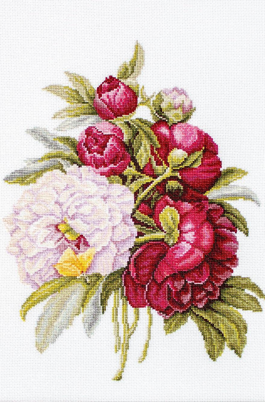 Bouquet with peonies B2354L Counted Cross-Stitch Kit