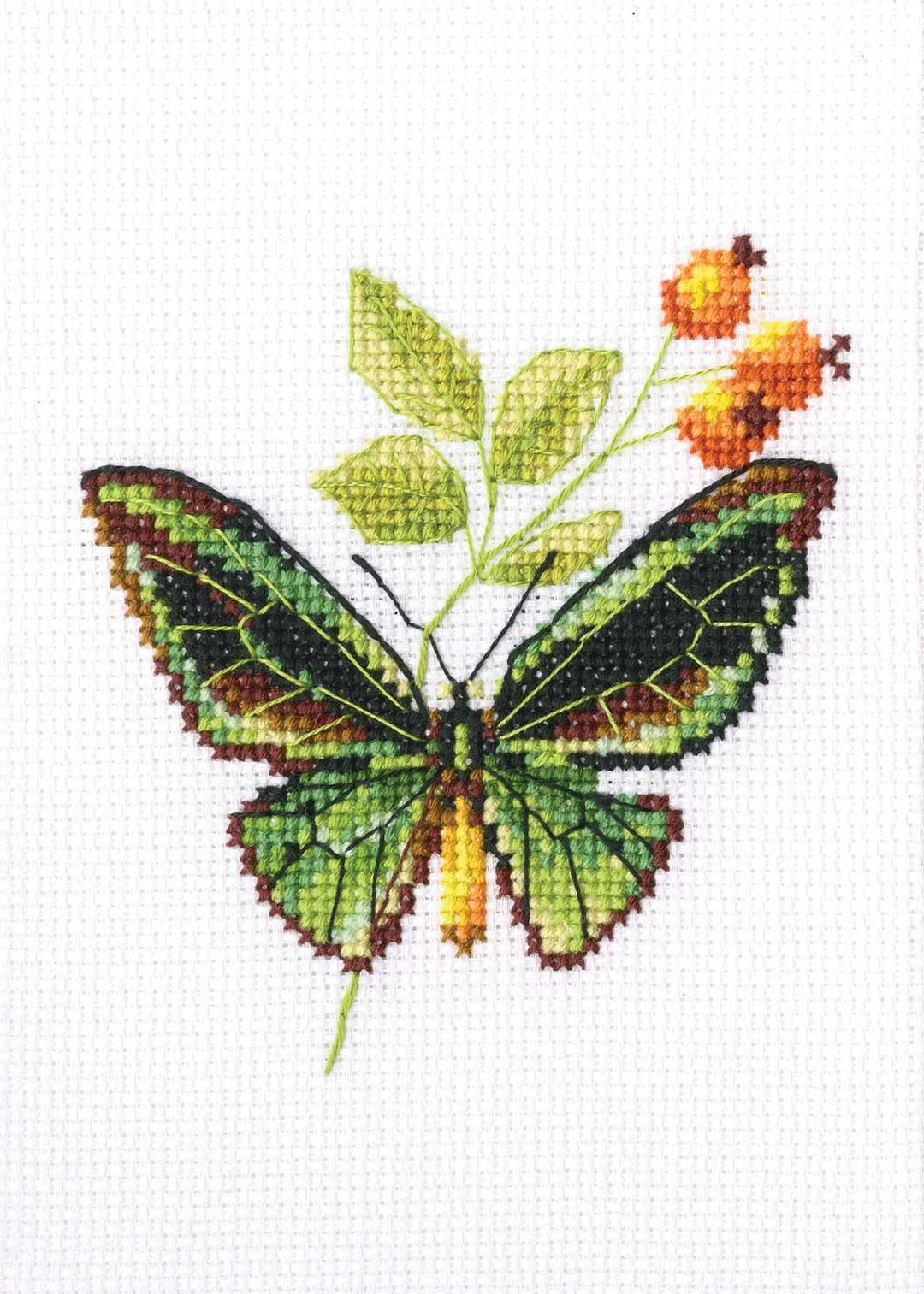 Briar and butterfly EH363 Counted Cross Stitch Kit