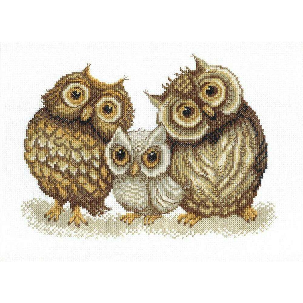 BT-067C Counted cross stitch kit Crystal Art "Family of owls"