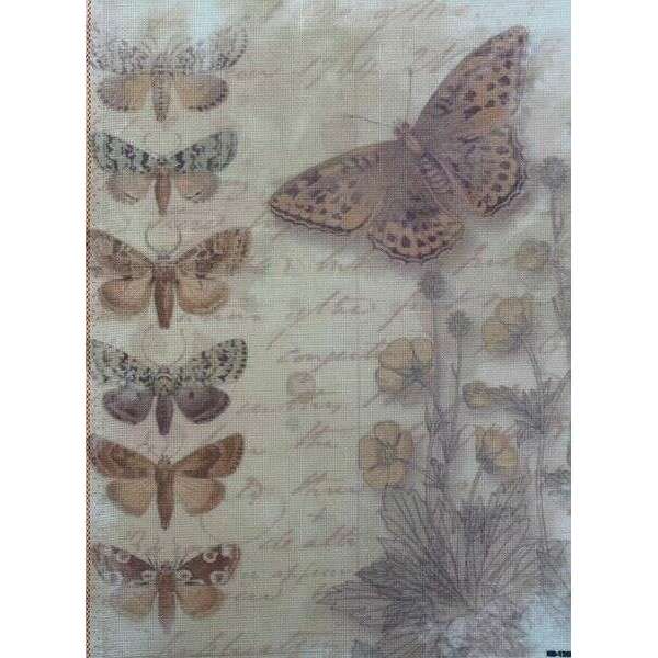 Butterfly Whispers Designer Printed AIDA Fabric. Canvas for embroidery with an applied background  KF-1360A