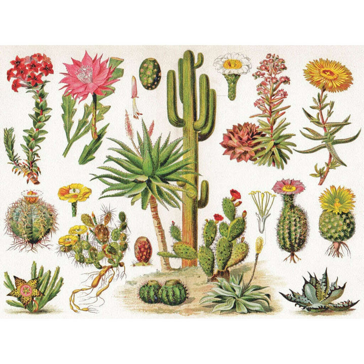 Cacti ~ Cactus Jigsaw Puzzle