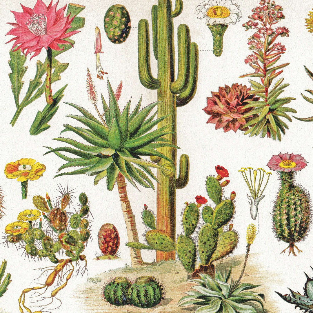 Cacti ~ Cactus Jigsaw Puzzle