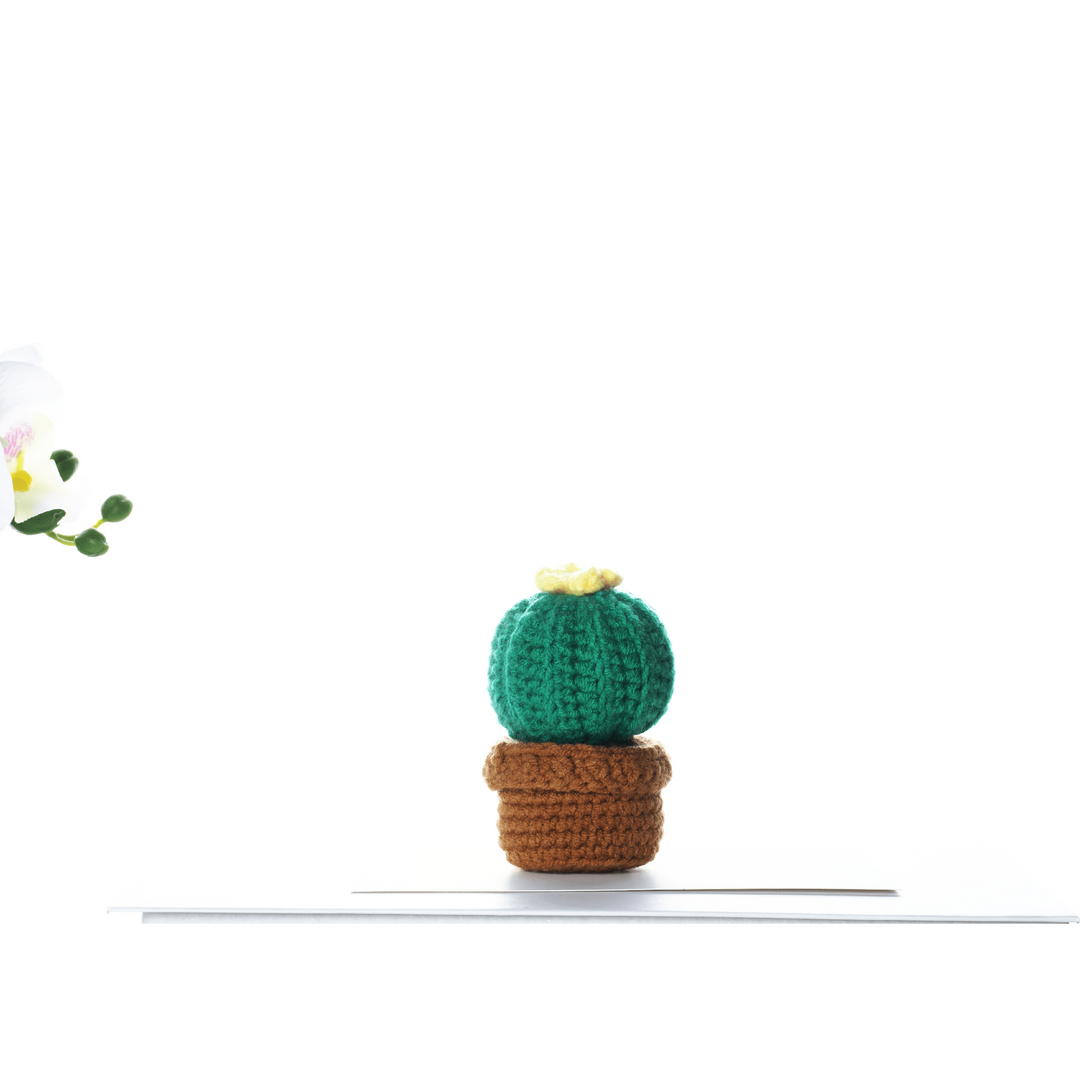 Cactus with Flowers. Potted Plant Amigurumi DIY Crochet Kit Wizardi F07N8-M18