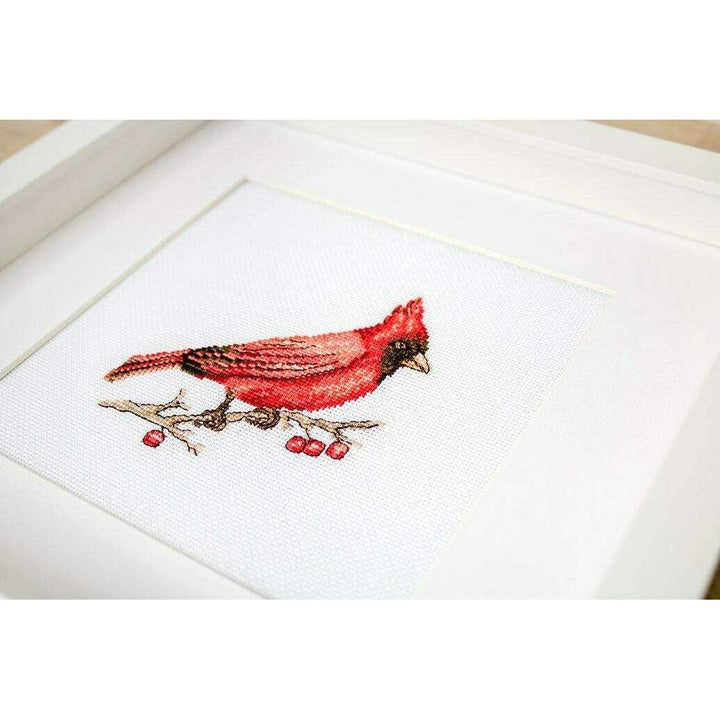 Cardinal B1156L Counted Cross-Stitch Kit