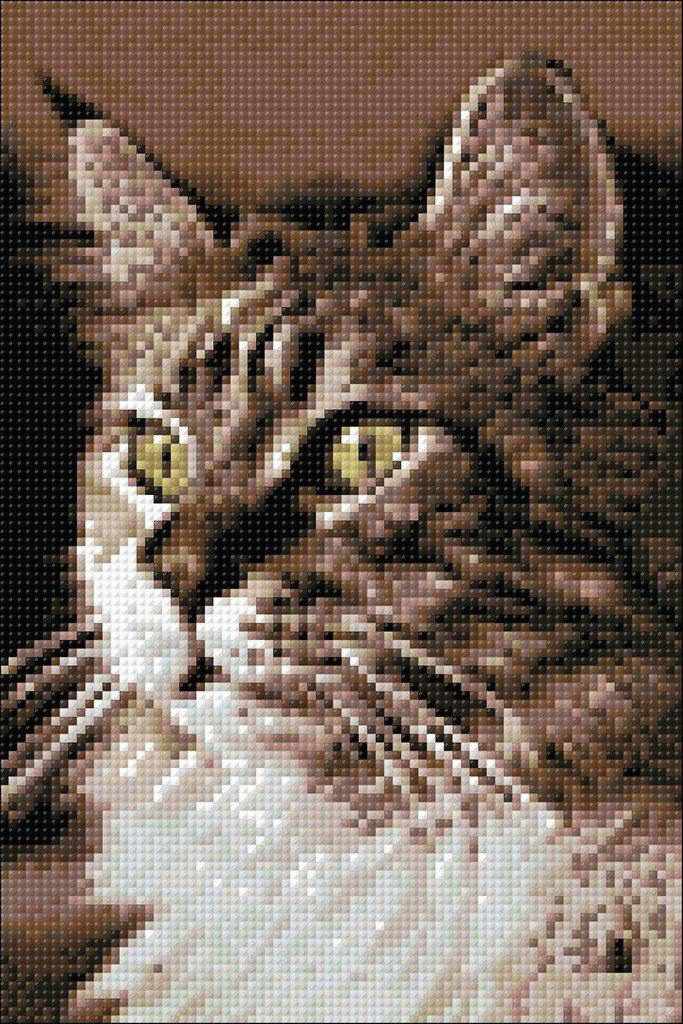 Cat at Home CS212 7.9 x 11.8 inches Crafting Spark Diamond Painting Kit
