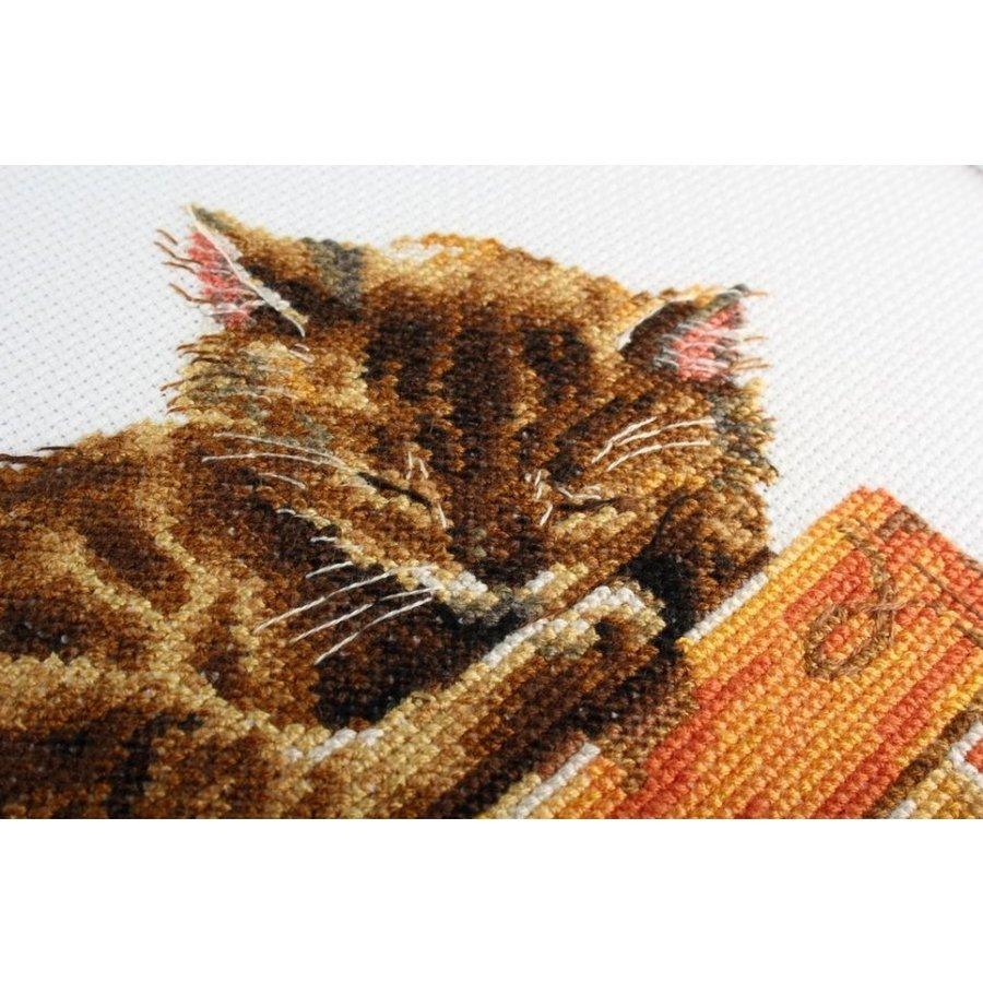 Cat's dream M642 Counted Cross Stitch Kit