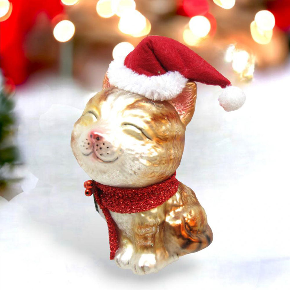 Cat w/Stocking Hat by December Diamonds 