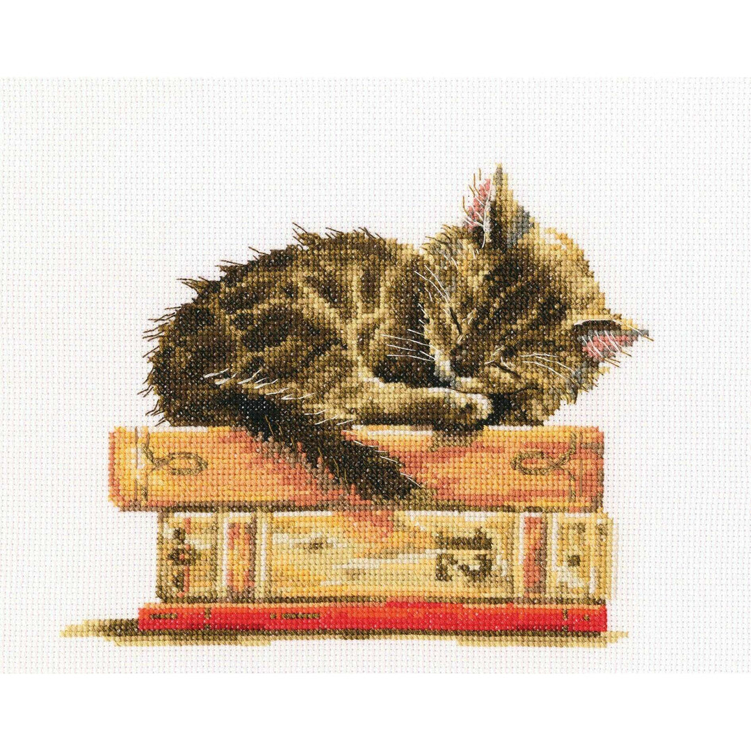 Cat's Dream M642 Counted Cross Stitch Kit