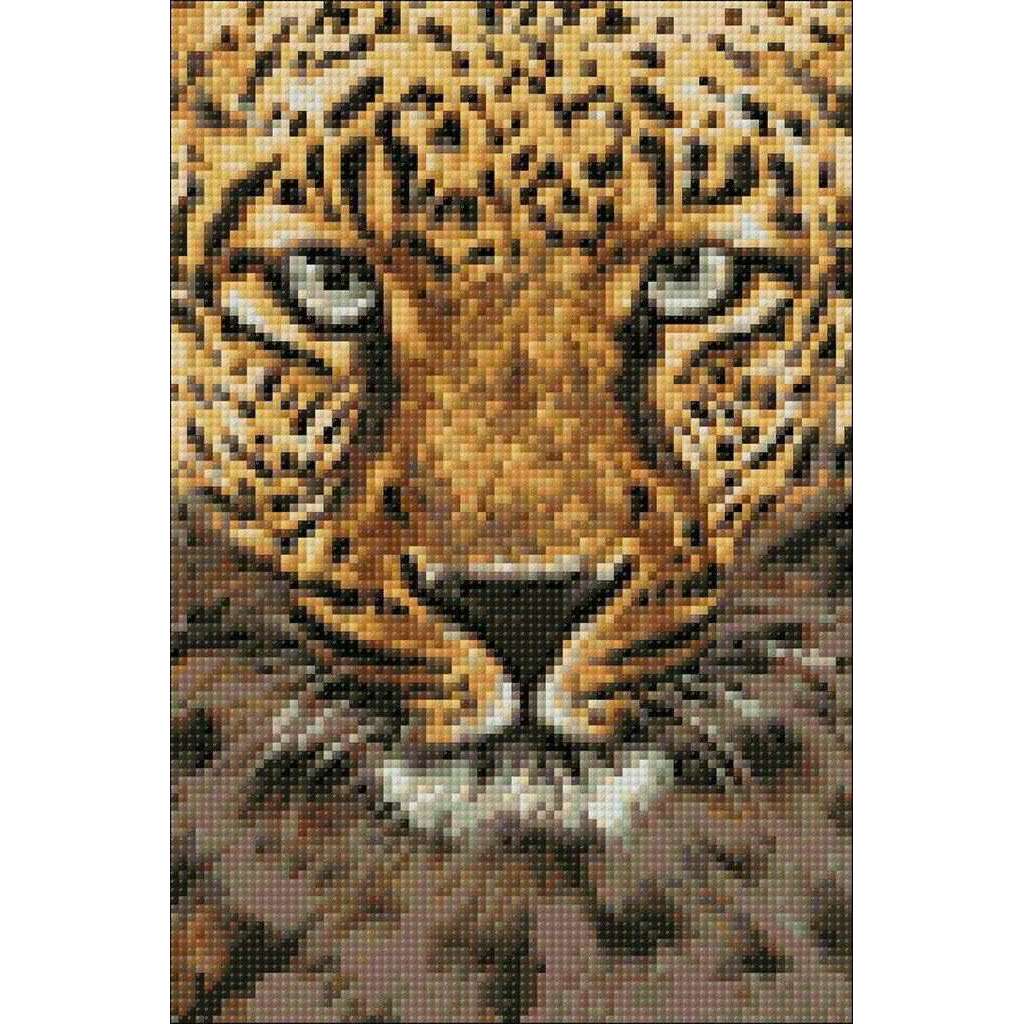 Cheetah CS069 7.9 x 11.8 inches Crafting Spark Diamond Painting Kit