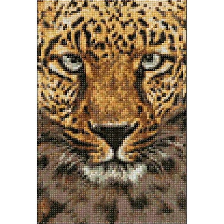 Cheetah CS069 7.9 x 11.8 inches Crafting Spark Diamond Painting Kit