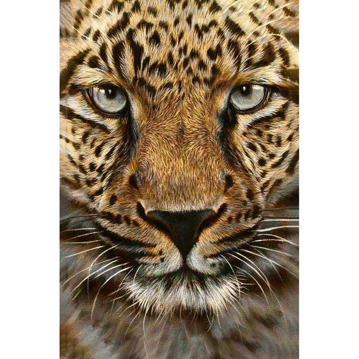 Cheetah CS069 7.9 x 11.8 inches Crafting Spark Diamond Painting Kit