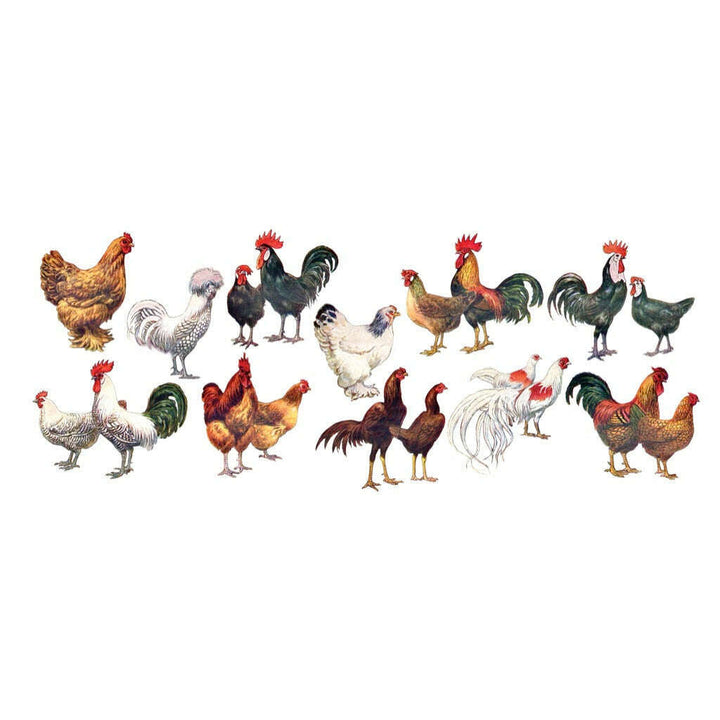 Chickens ~ Poules Mug