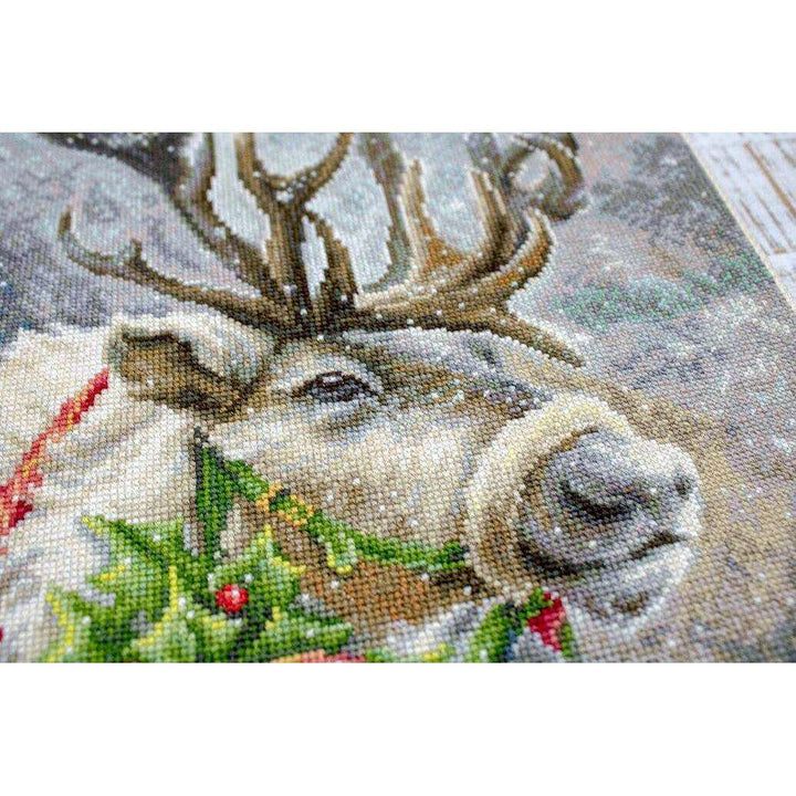 Christmas Deer B598L Counted Cross-Stitch Kit