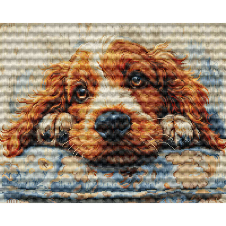 Cocker Spaniel BU5058L Counted Cross-Stitch Kit