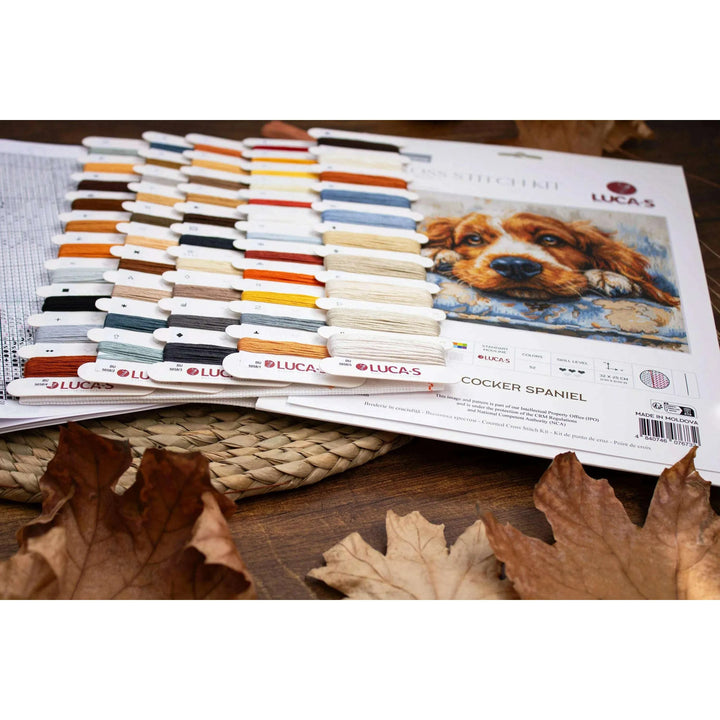 Cocker Spaniel BU5058L Counted Cross-Stitch Kit