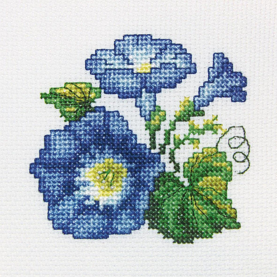 Convolvulus H245 Counted Cross Stitch Kit