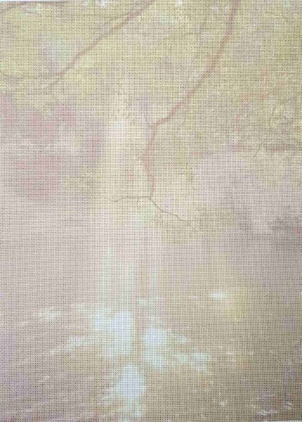 Gentle Vines Designer Printed AIDA Fabric. Canvas for embroidery with an applied background  KF-1142A