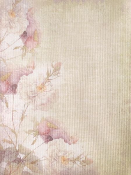 Blossoming Past Designer Printed AIDA Fabric. Canvas for embroidery with an applied background  KF-1315A
